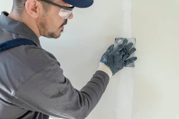 Best Repainting for Renovations  in Perkasie, PA