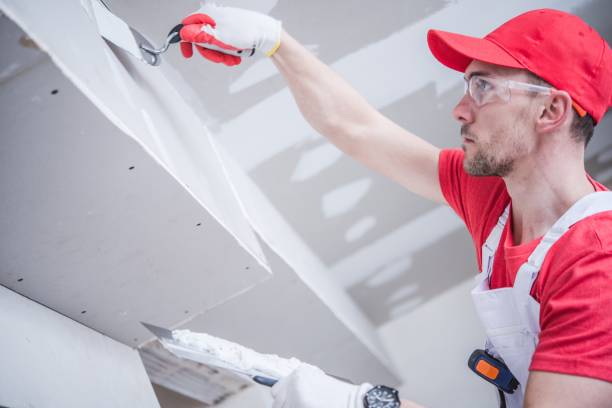 Best Ceiling Drywall Installation  in Perkasie, PA